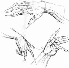 Welcome to drawing manga and welcome to drawing in general! The Various Proportions Of Human Hand And Fingers Drawing Hands