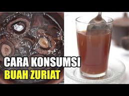 Pohon zuriat merupakan tanaman yang berasal dari mesir. 10 Manfaat Buah Zuriat Untuk Kesehatan Program Hamil Konsumsi