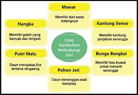 Check spelling or type a new query. Kunci Jawaban Tematik Tema 2 Kelas 6 Halaman 18 20 21 24 Pembelajaran 3 Subtema 1 Rukun Dalam Perbedaan
