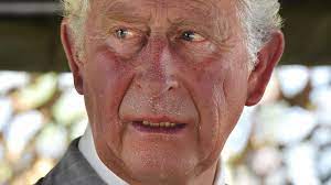 Prince charles seen for first time since. Prince Charles Wanted To Publish A Point By Point Answer To The Interview With Harry And Megan Sydney News Today