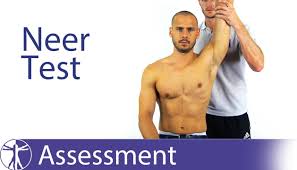 Image result for Neer Test