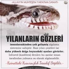 Allah In Muhtesem Yaratma Sanati Yilanlarin Gozleri Insanlarinkinden Cok Gelismis Algilama Sistemine Sahiptir Bazi Yilan Cesitleri Ise Daha Dalga Allah Gozler