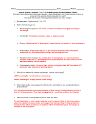 Get free answers snurfle meiosis. Biomanbio Answers