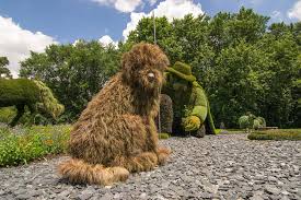 See what others paid and feel confident about the price you pay. The Finer Things Dogs Make Everything Better