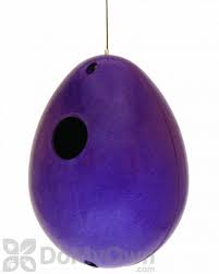 Maybe you would like to learn more about one of these? Rossos International Eggplant Eco Egg Bird House P5715