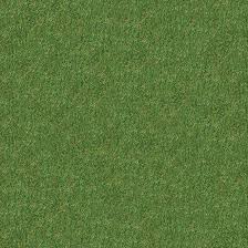 Outdoor carpet is one of the most recent innovations in carpet technology. Multy Home Indoor Outdoor Grass Carpet 6 Ft Green Mt1004747 Rona
