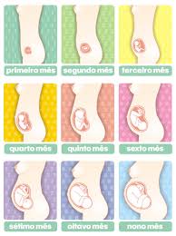 Gravidez Mes A Mes Gravidez Na Adolescencia Papo Adolescente