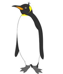 In this video, i show you how to draw a cute baby penguin.hope you enjoy it and like the interesting fact related to the animal at the end of the video.and h. How To Draw Cartoon Penguins How To Draw Cartoons
