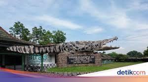 Garden drive thru merupakan tur keliling kebun menggunakan kendaraan pribadi. Menengok Taman Buaya Di Bekasi Antara Penangkaran Dan Atraksi