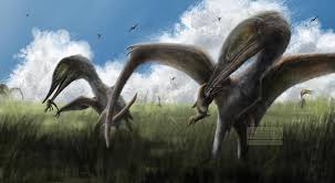 Image result for Sinopteridaceae