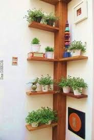 Here are the floating shelf ideas i love: Aprovechando Las Esquinas Selber Machen In 2019 Pinterest Shelves Floating Shelves And Corn Floating Corner Shelves Floating Shelves Decorating Shelves
