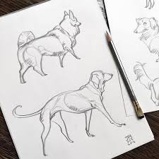 J A W Cooper Jawcooper Art Twitter Art Creature Art Canine Art