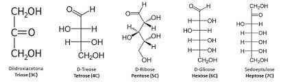 Monosaccharides