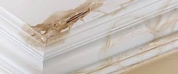 1229 colorado ln ste 102. Roof Leak Services In Central Florida True Builders