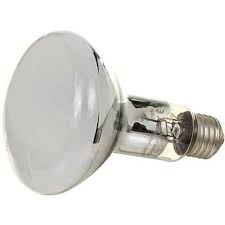 Zoo Med Powersun Uv Self Ballasted Mercury Vapor Uvb Lamp Zoo Med Bearded Dragon Petco