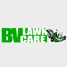 Bv lawn care was founded in 2010. Bv Lawn Care Queen Creek Az Us 85142 Houzz