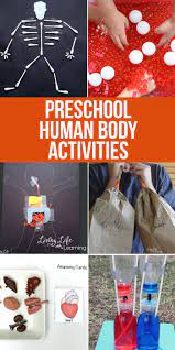 Activities for toddlers are one of the hardest things to come up with. Preschool Human Body Activities
