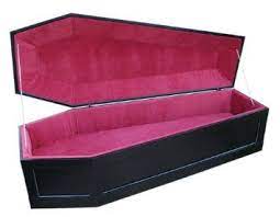 robot check coffin bed gothic home decor furniture