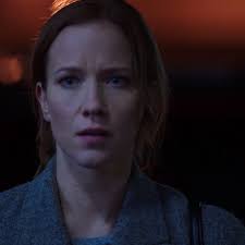 Animal Talent Of Chicago