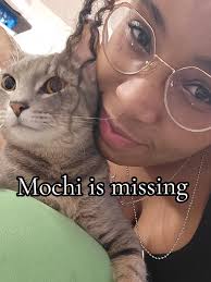 2nd Date Update Missing Cat