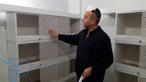 Modern Guvercin Kumesimizde Sona Yaklasiyoruz Youtube
