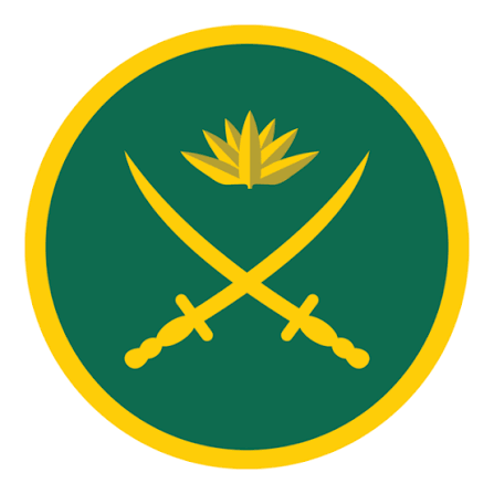 DSAI client logo