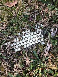 Check spelling or type a new query. 40 Times People Found Something Weird In The Woods And Just Had To Share Bored Panda