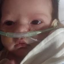 Fundraiser for Molly Quintero by Jayne Lotzer Quintero : Help Marlo Ava  Beat the Odds