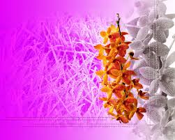 Below and free download three parts of studio backgrounds psd. Wedding Album 12x18 Psd Templates Download Wedding Album Album Design Wedding Website Free