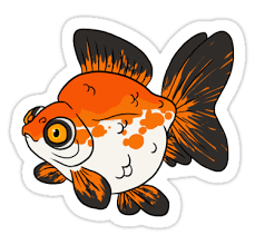 Fancy Goldfish Demekin Sticker By Eren Flannery Goldfish Art Fish Art Goldfish Tattoo