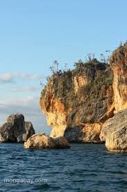 Jaragua national park is a national park of the dominican republic. A View Of The Unique Spiny Forest That Borders The Beach Of Bahia De Las Aguilas At Jaragua National Park In The Dominican Republic