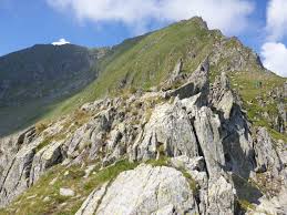 Cu o înălțime de 2544 m, este cel mai înalt vârf muntos din românia. Varful Moldoveanu È›ara FÄƒgÄƒraÈ™ului