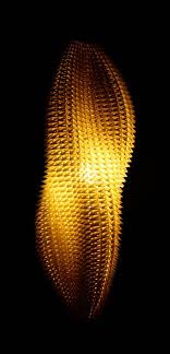 Diploid Lamp Matsys Lamp Digital Fabrication Generative Design