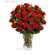 We did not find results for: GÄƒinÄƒ Speriat DimineaÅ£Äƒ Imagini Cu Vaze Cu Trandafiri Rosii Justan Net