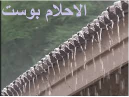 تفسير حلم المطر في المنام للمراة وللعزباء وللمتزوجة وللحامل وللرجل الاحلام بوست