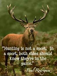 Pin By Cheryl Demesa On Hunting Fishing Are Not Sports Animal Cruelty Quotes Animal Quotes Stop Animal Cruelty