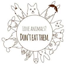 Love Animals Don T Eat Them Vegan Animals Dont Eat Love Vegan Vegetarianquotes Love Animals Don T Eat T Vegan Animals Vegan Quotes Vegetarian Quotes