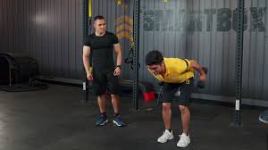 Ponte de pie y sujeta dos mancuernas, una al nivel de tus hombros y la otra más alto con tu brazo extendido, con las palmas apuntando una hacia la otra. 3 Ejercicios De Triceps En Casa Para Fortalecer El Brazo