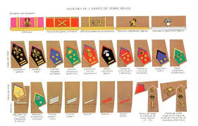 A toutes les unités : Epingle Sur Uniforms Apolety