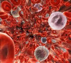 La trombosis venosa profunda es un coágulo de sangre en una vena profunda, en general en la parte. Revelan Un Nuevo Componente De La Sangre Unam Global