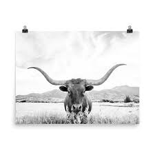 Black And White Cow Pictures To Print Longhorn Print Art To Frame Printed Art 24x36 Print Boho Etsy Framed Art Art Prints Art