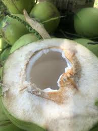 น้ำมันมะพร้าวออร์แกนิคสกัดเย็น ตราแมนเนเจอร์ (organic coconut oil extra virgin by mannature) จากธรรมชาติ 100% สกัดโดยใช้ centrifuge 3 ขั้นตอน ทำให้เป็นน้ำมันภายใน 5 นาที น้ำมัน. à¸™ à¸³à¸¡à¸°à¸žà¸£ à¸²à¸§à¸™ à¸³à¸«à¸­à¸¡à¸­ à¸™à¸—à¸£ à¸¢ à¸ª à¸™à¸„ à¸²à¹€à¸à¸©à¸•à¸£à¹à¸›à¸£à¸£ à¸› à¸ª à¸‡à¸•à¸£à¸‡à¸ˆà¸²à¸à¸ªà¸§à¸™à¸¡à¸°à¸žà¸£ à¸²à¸§ à¸ˆ à¸£à¸²à¸Šà¸š à¸£