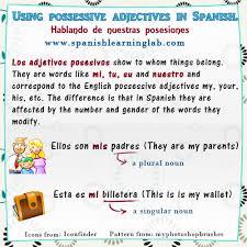 Learn Possessive Adjectives In Spanish Chart Examples