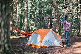 66 likes · 10 talking about this · 82 were here. East Fork Campground San Juan Co 1 Hipcamper Review And 6 Photos