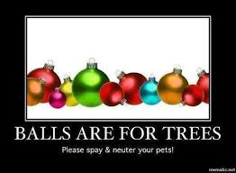 Laugh And Be A Responsible Dog Owner Your Pet Animal Rescue Dog Spay