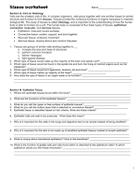 tissue worksheet