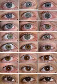 spectrum of eye color in 2019 eye color chart rare eye