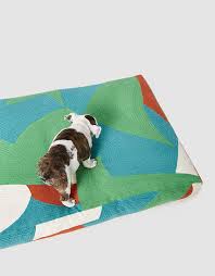 A little master bedroom sneak peek for you! Dusen Dusen Terra Dog Bed