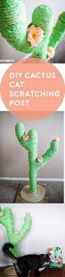 Therefore a diy stone cactus is a perfect decoration for my room. Diy Catcus Scratching Post Scratching Post Cactus Diy Cat Diy