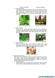 Check spelling or type a new query. Prakarya Online Pdf Activity